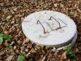 Septic Field