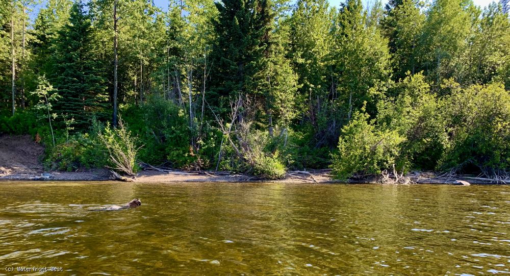 Stunning Lakeshore Lots Francois Lake