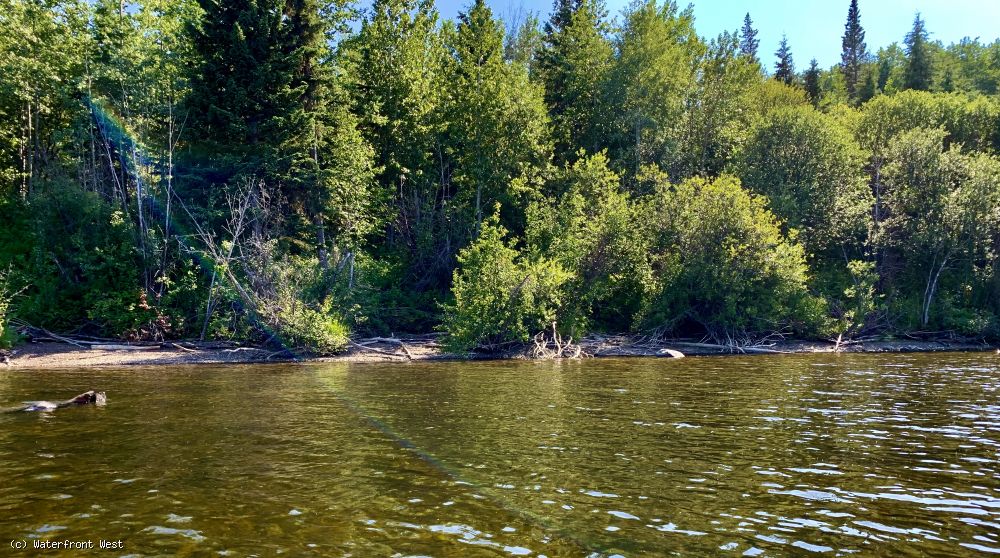 Stunning Lakeshore Lots Francois Lake