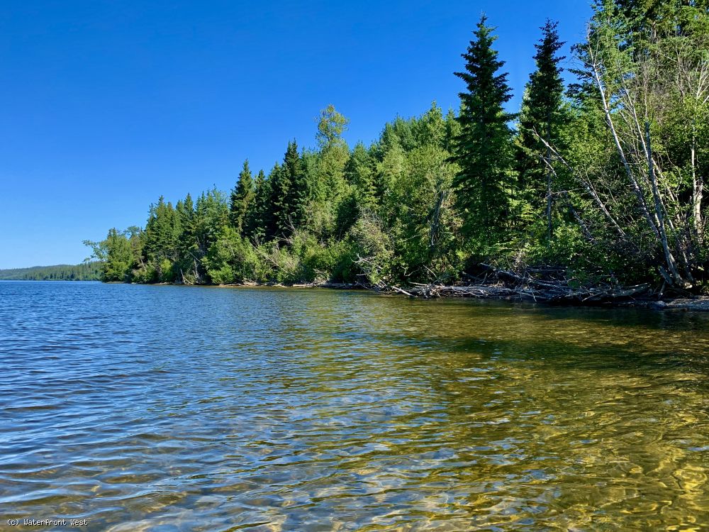 Stunning Lakeshore Lot Francois Lake