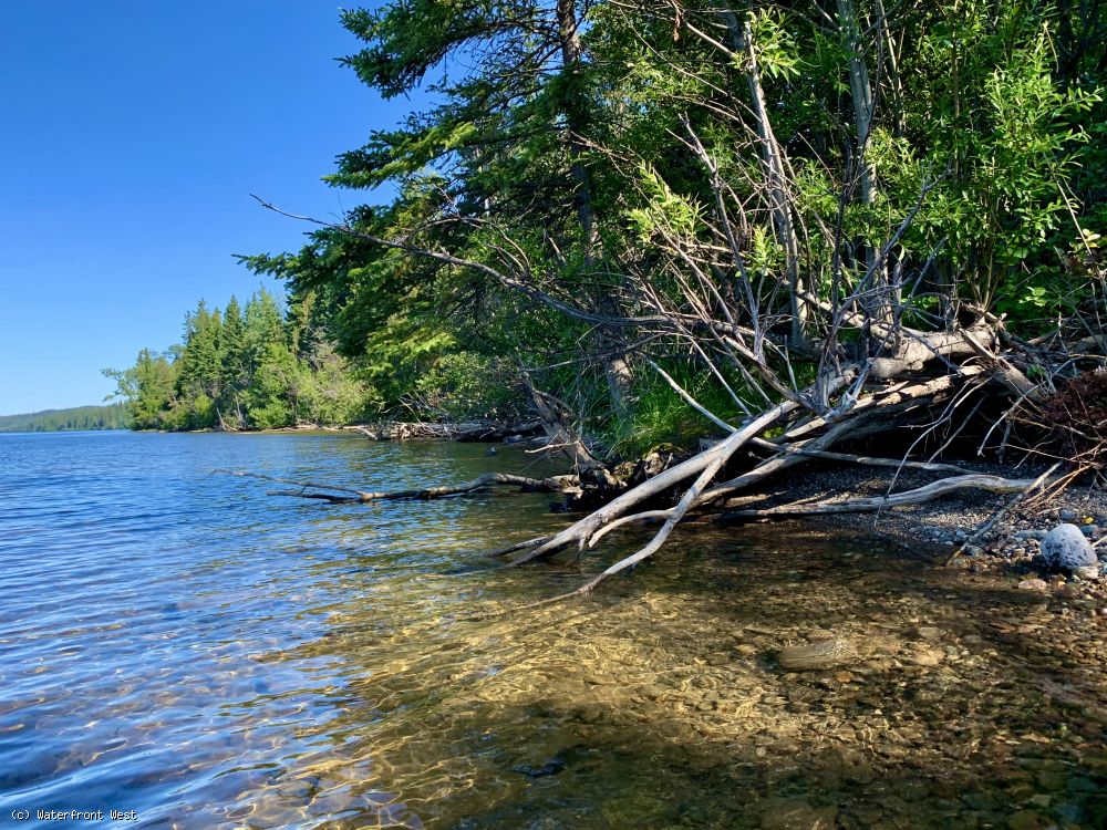 Stunning Lakeshore Lots Francois Lake